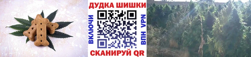 цена наркотик  Ульяновск  Canna-Cookies марихуана 