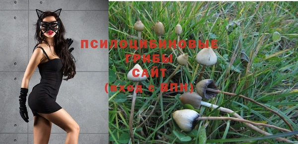 MDMA Кодинск