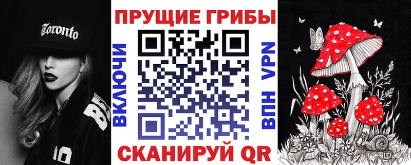 блэк спрут зеркало  Ульяновск  Галлюциногенные грибы Magic Shrooms 